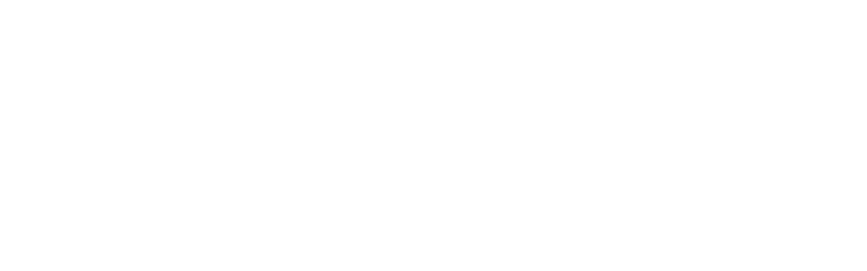 Brain Made
